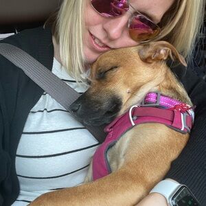 Meet your Posher, Jennifer